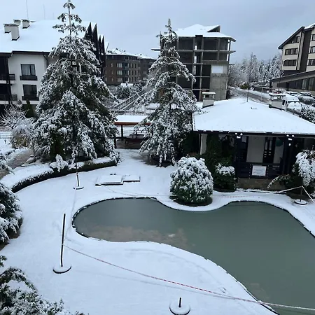 Aspen студио слънчев ден